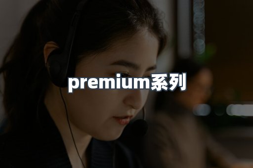 premium系列